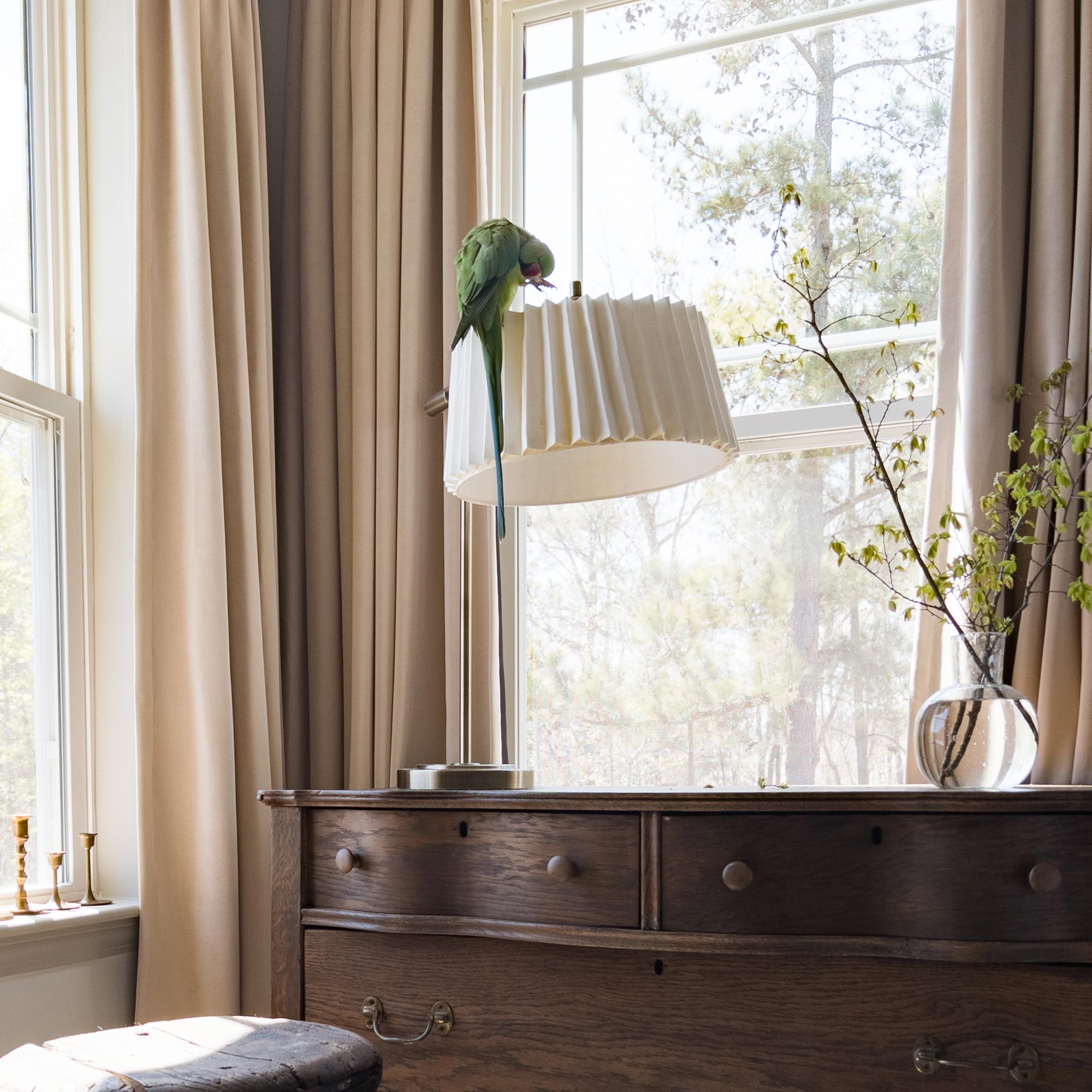 Custom Soft Blackout Velvet Curtains | Luxury Light-Filtering Bedroom Drapes