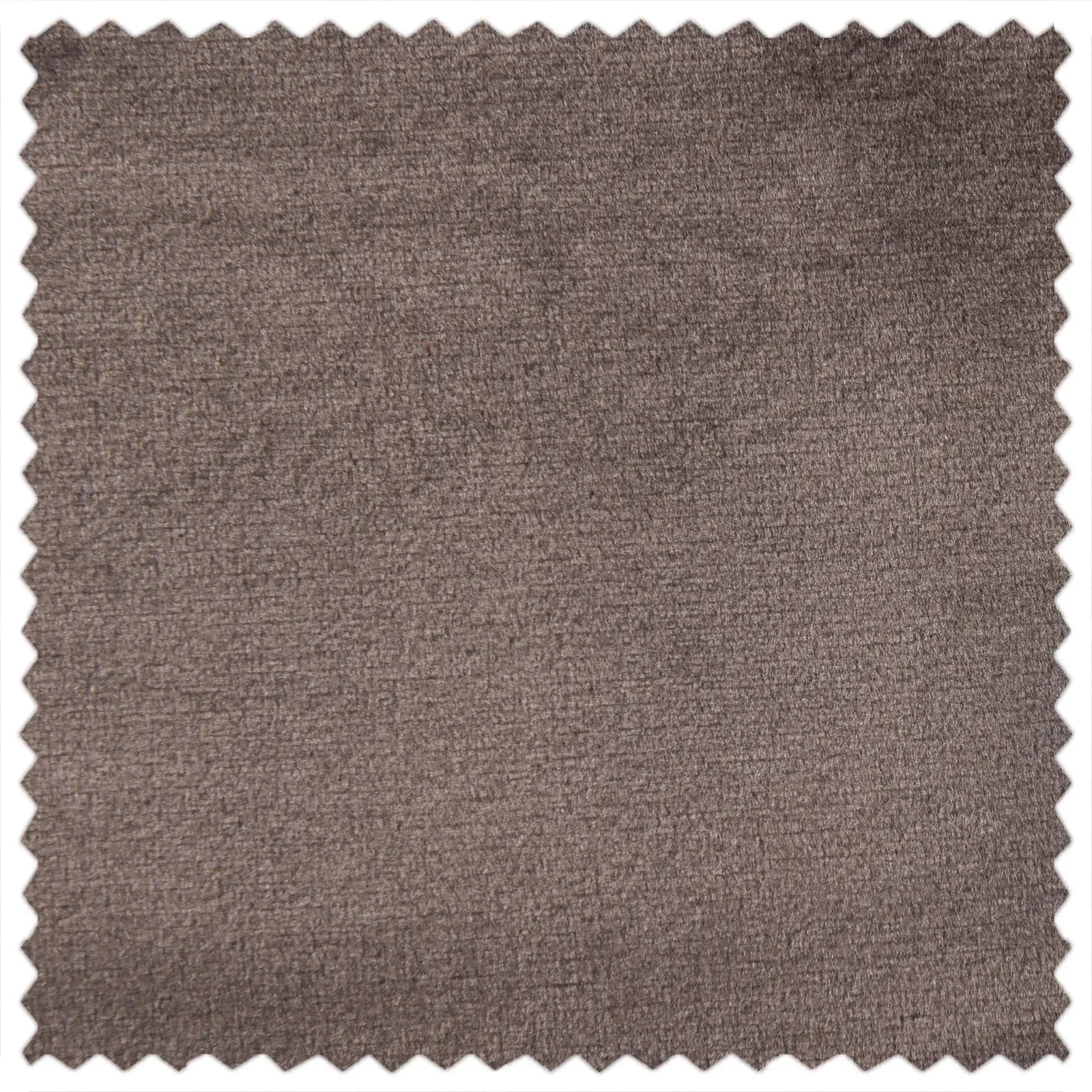 Velvet DAR191-11